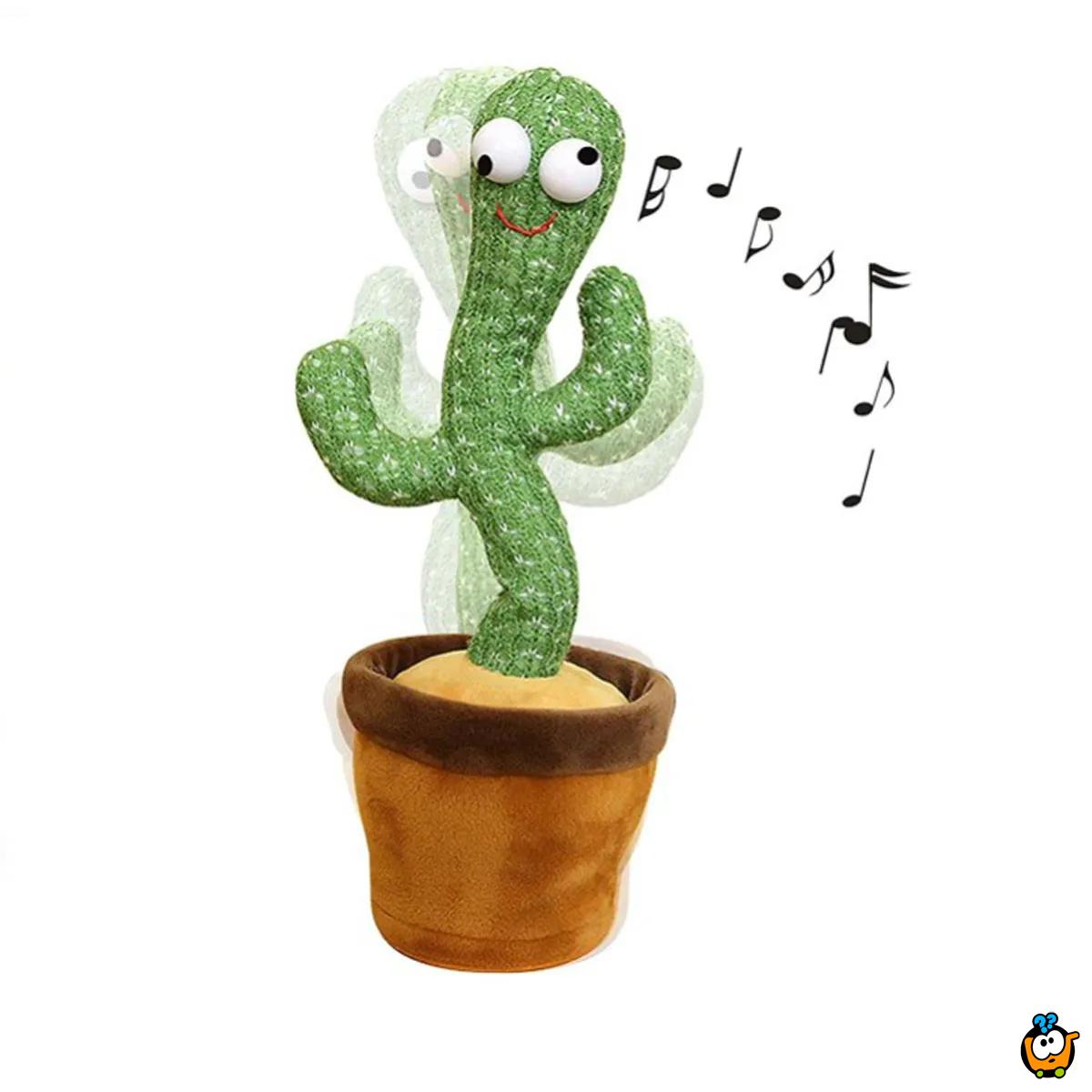 Igračka - razigrani kaktus koji peva