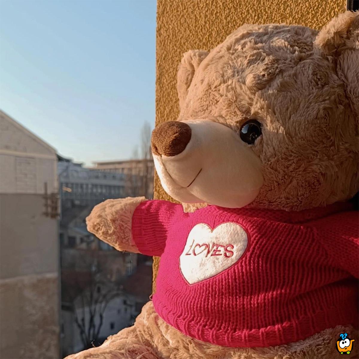 Teddy Love – Veliki plišani meda 