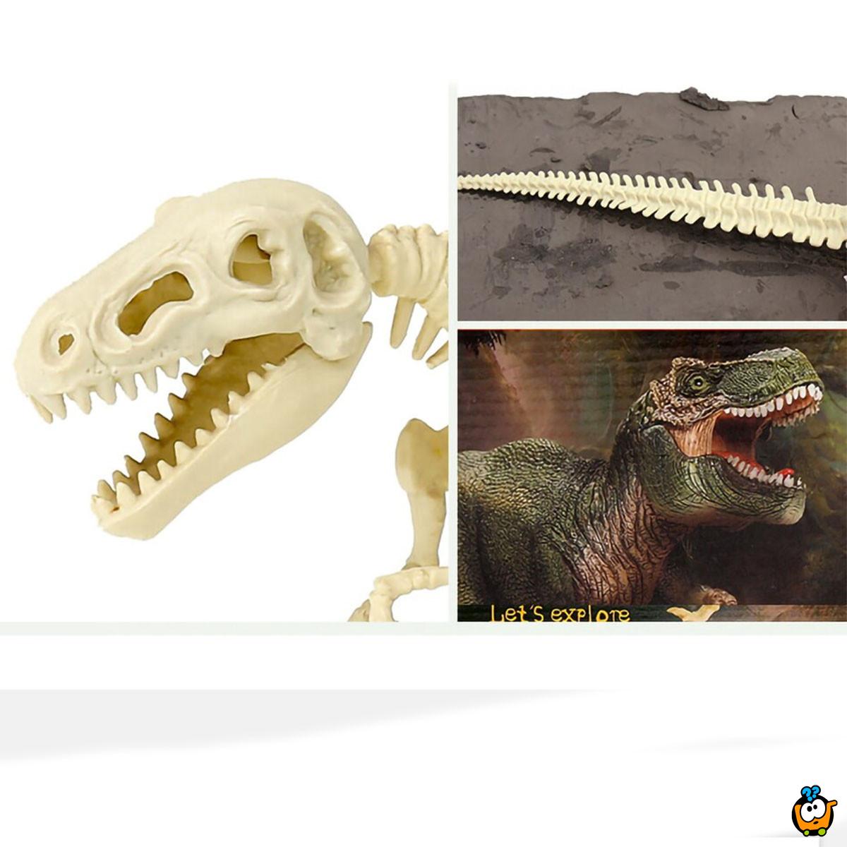 Set dino cigla - Iskopaj fosil dinosaurusa i sastavi skelet