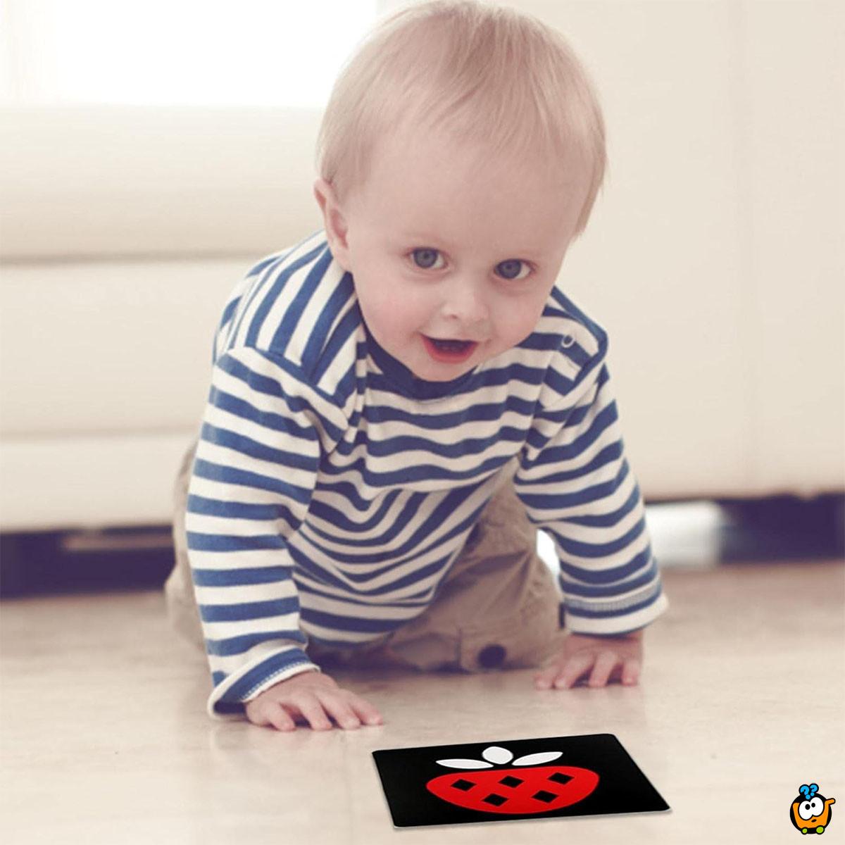 Baby Vision level 2- trobojne kartice za bebe (3-6 meseci)