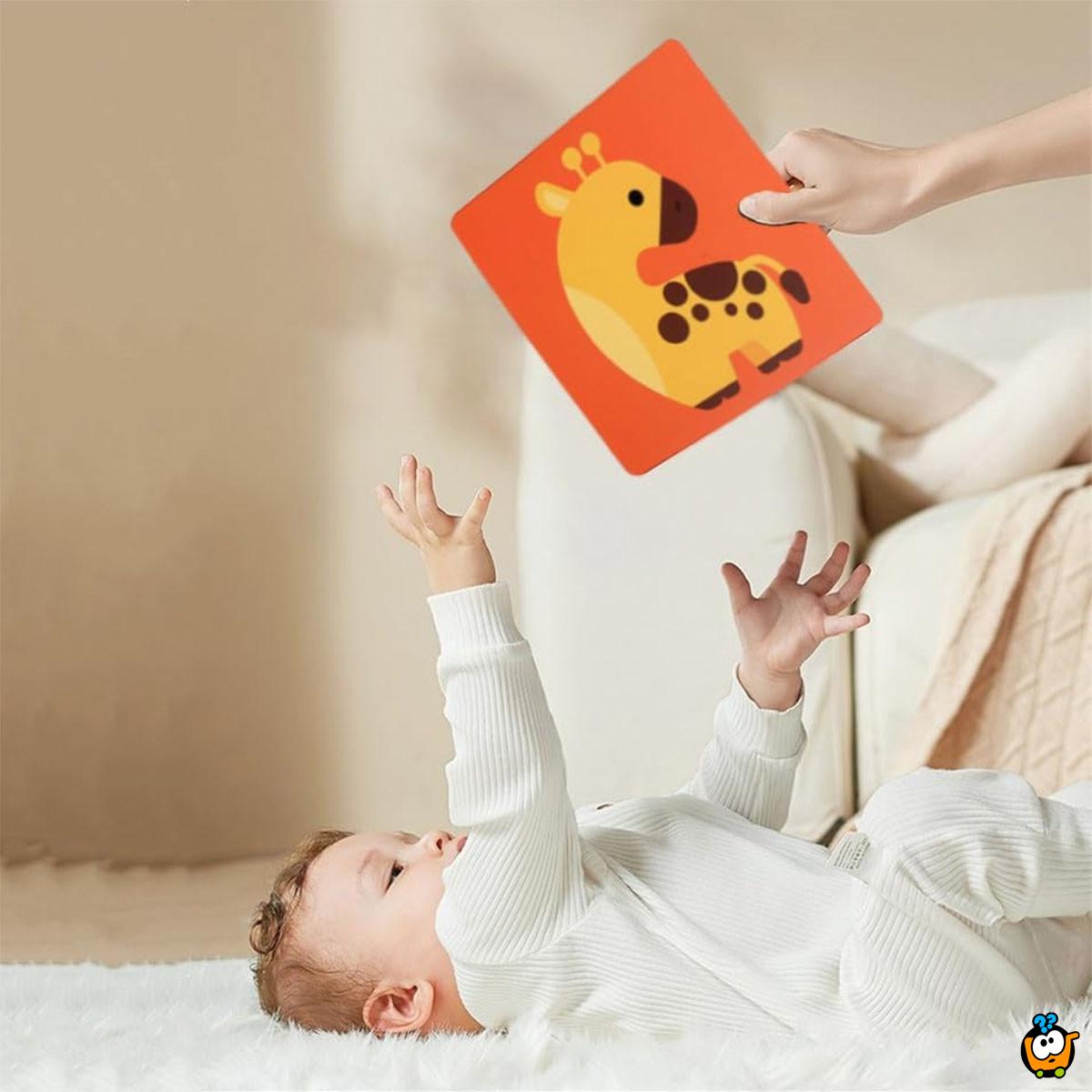 Baby Vision level 3- Edukativne kartice za bebe (6 -12 meseci)