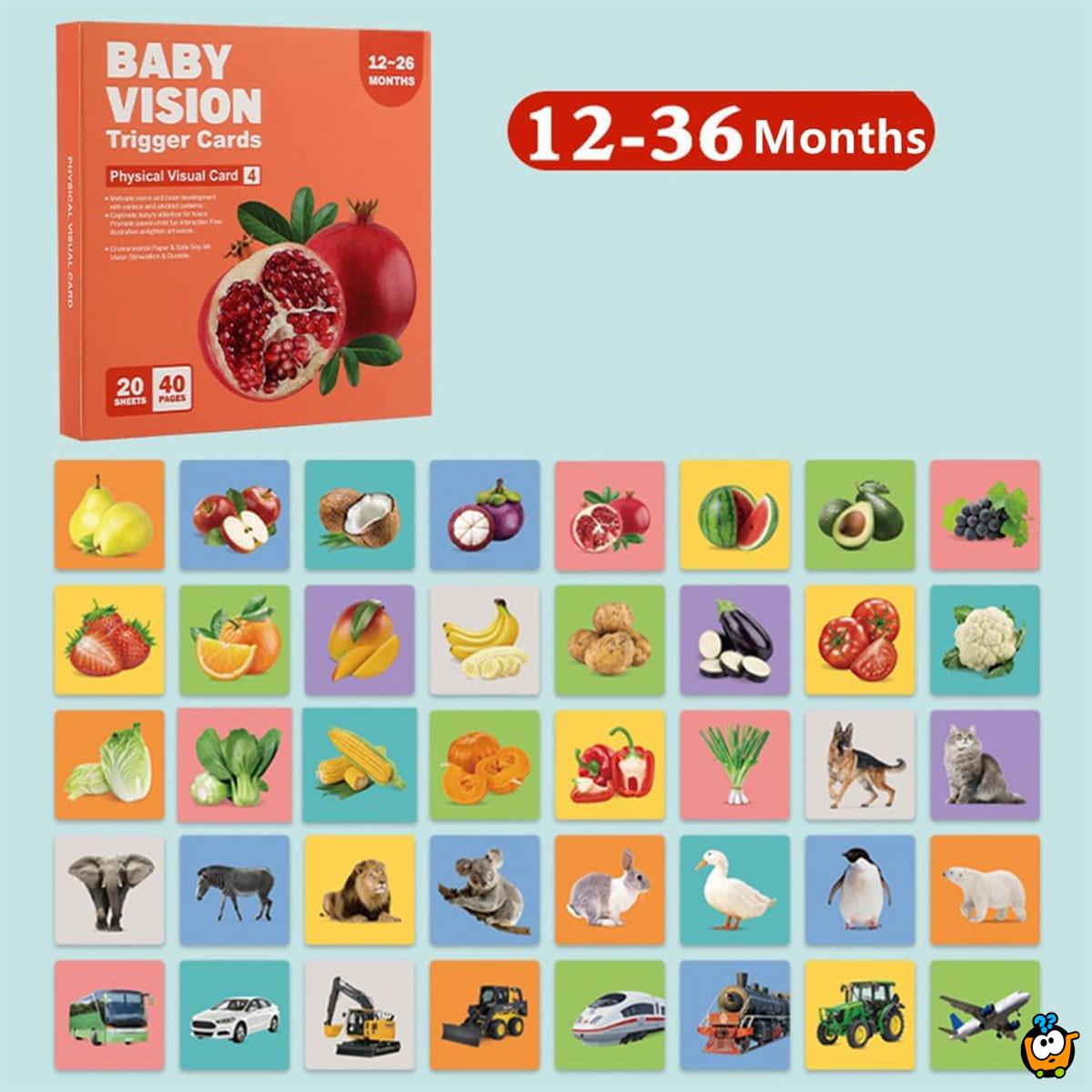 Baby Vision level 4 - edukativne kartice za bebe jarkih boja (12-36 meseci)
