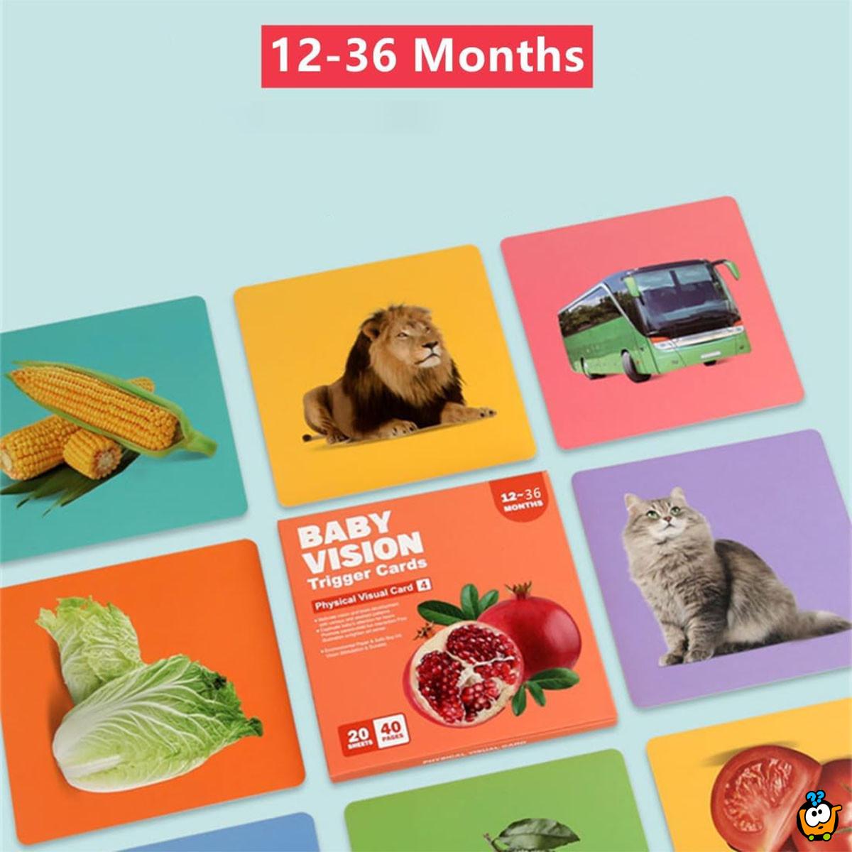 Baby Vision level 4 - edukativne kartice za bebe jarkih boja (12-36 meseci)
