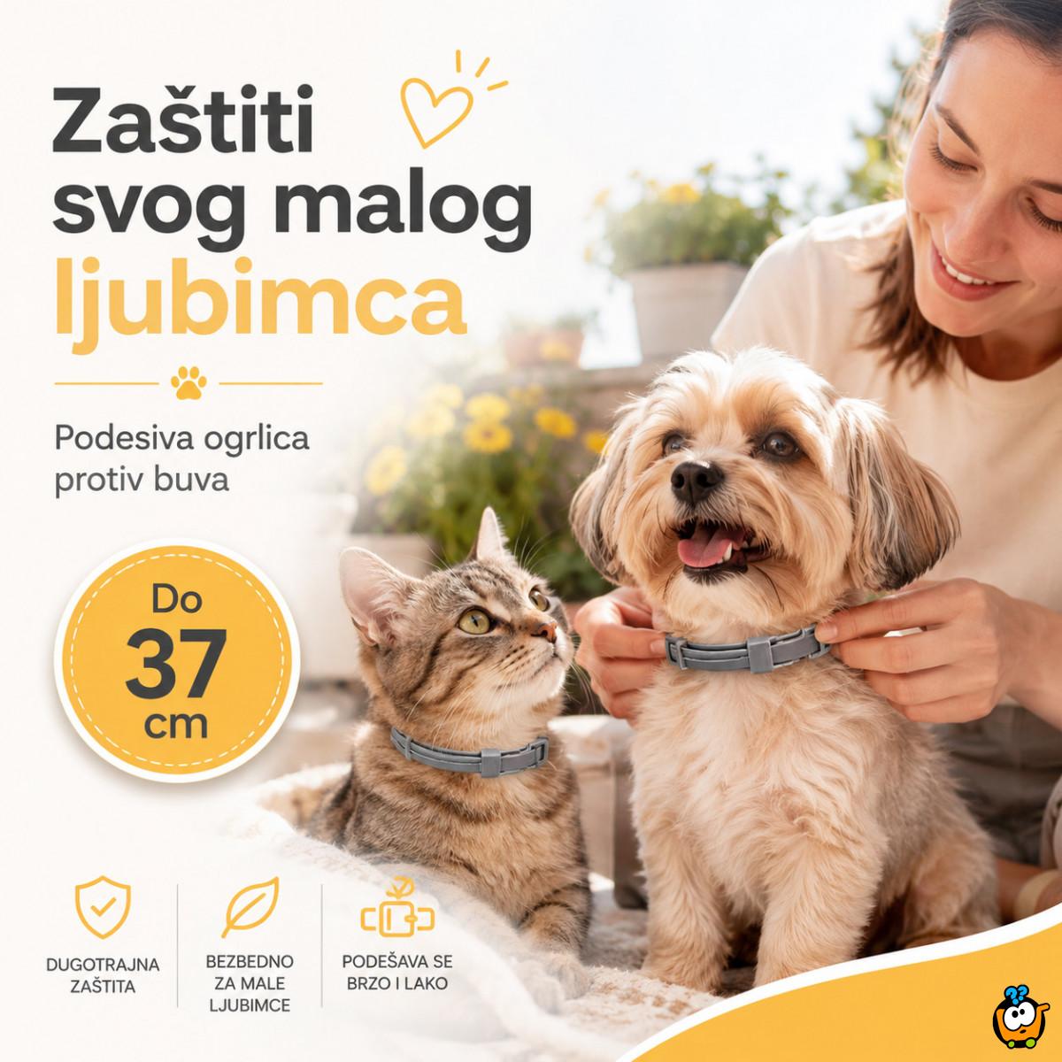 Vodootporna ogrlica protiv buva za mačke i male pse do 37 cm