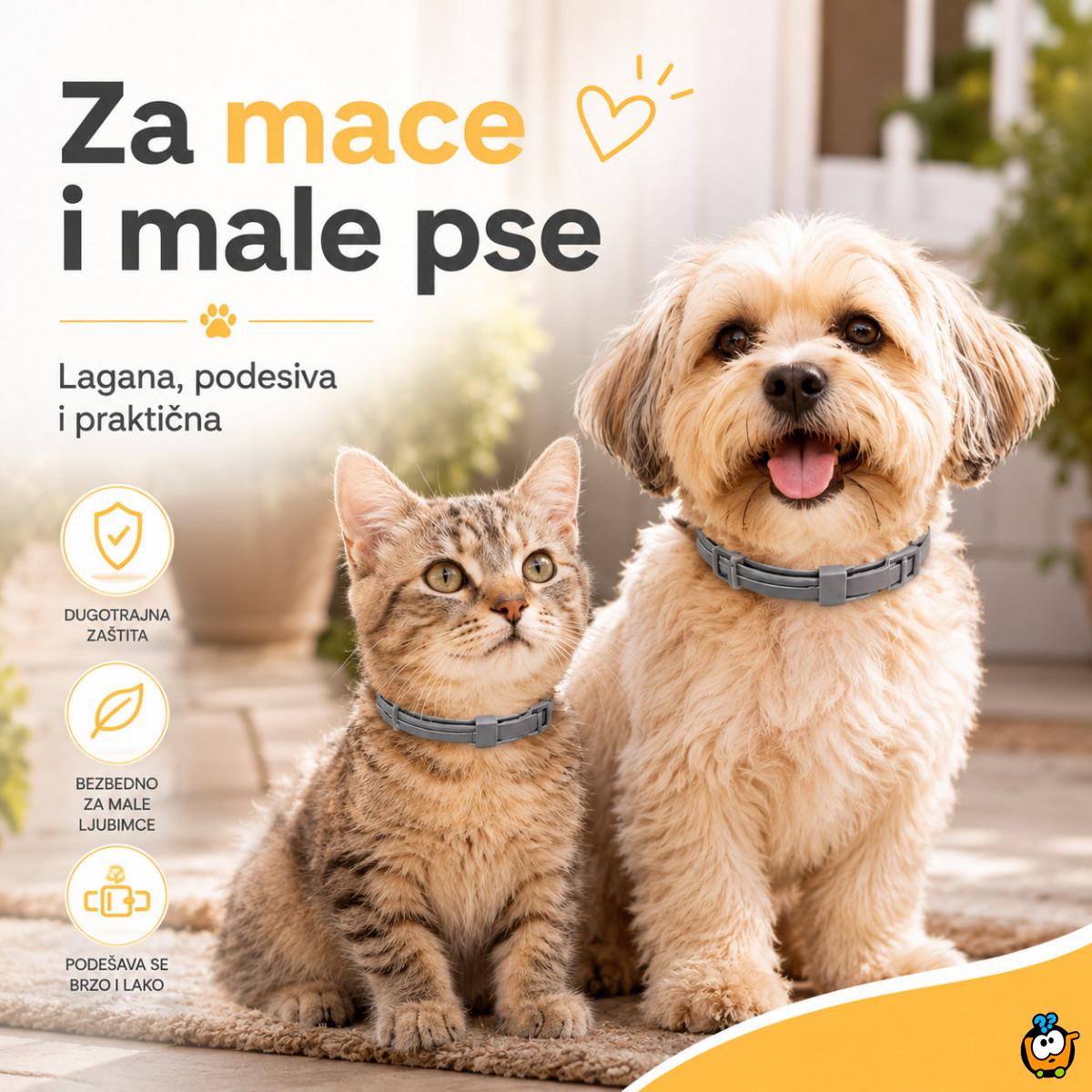 Vodootporna ogrlica protiv buva za mačke i male pse do 37 cm