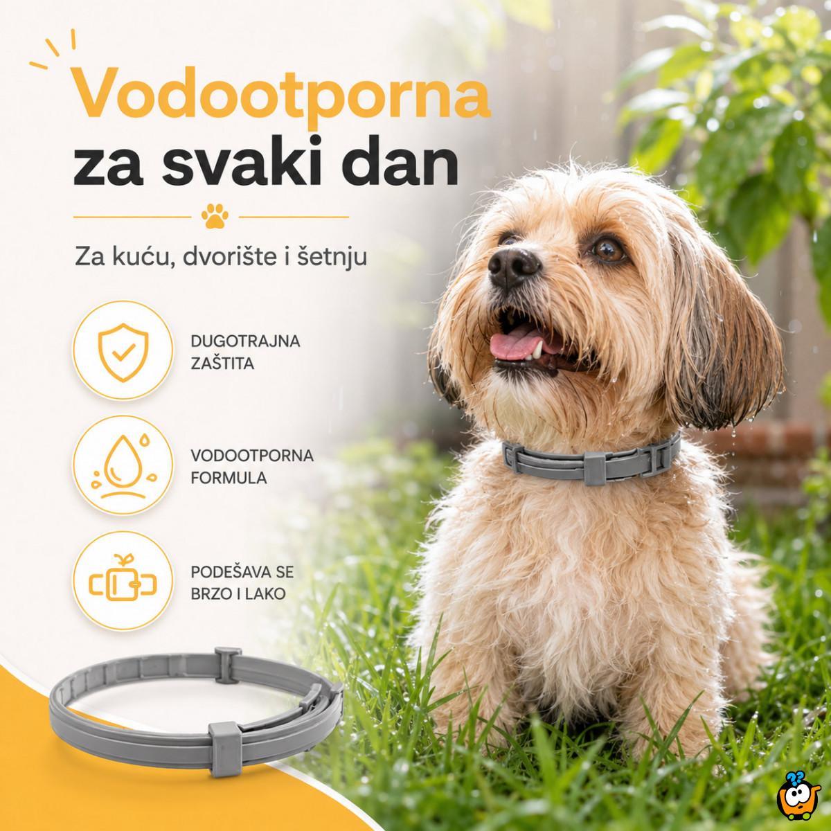 Vodootporna ogrlica protiv buva za mačke i male pse do 37 cm