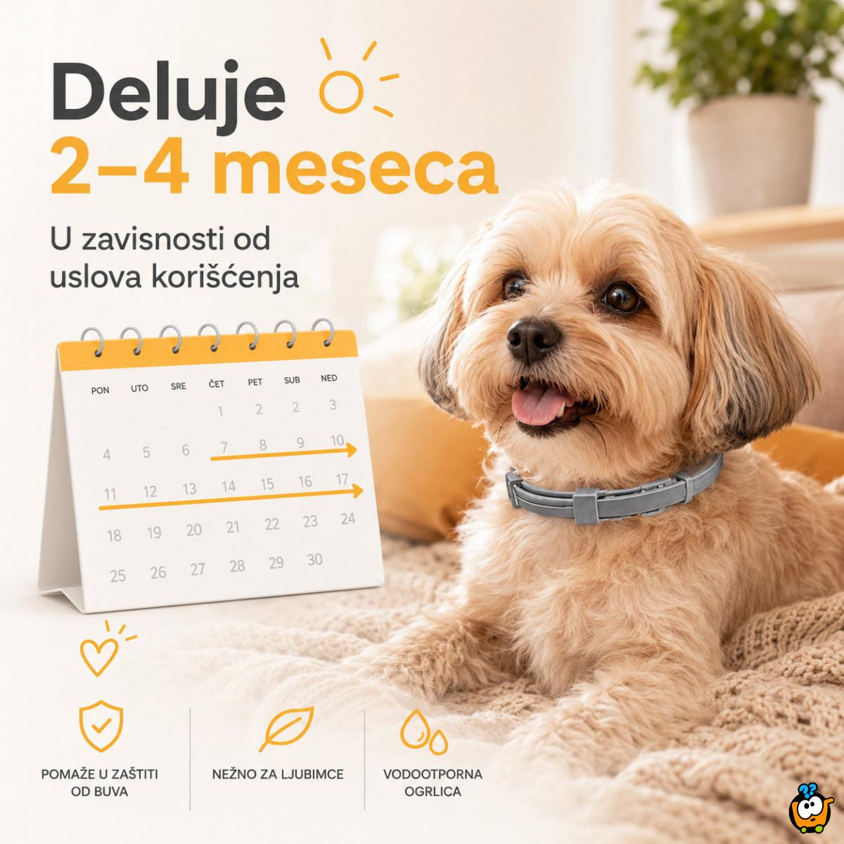 Vodootporna ogrlica protiv buva za mačke i male pse do 37 cm