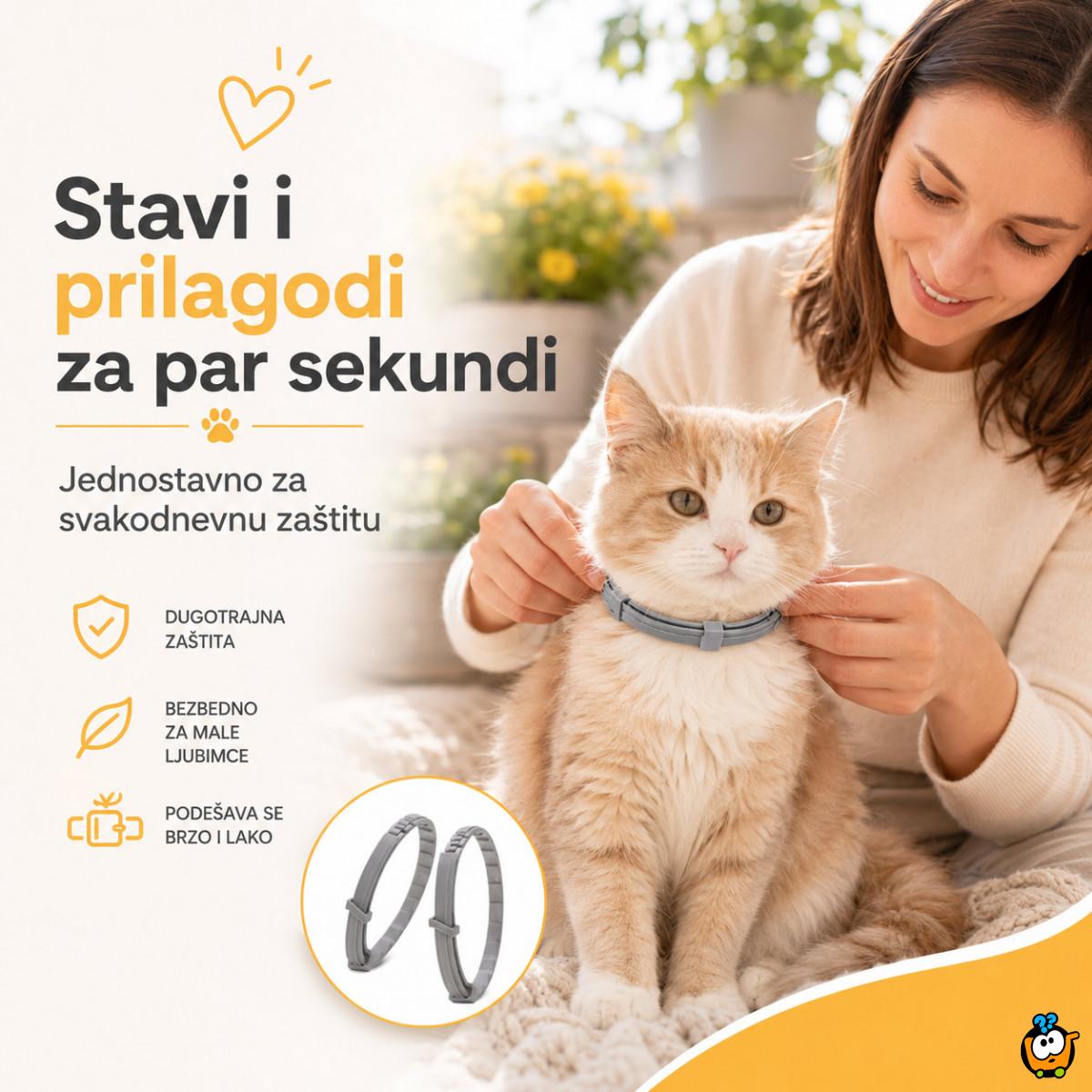 Vodootporna ogrlica protiv buva za mačke i male pse do 37 cm
