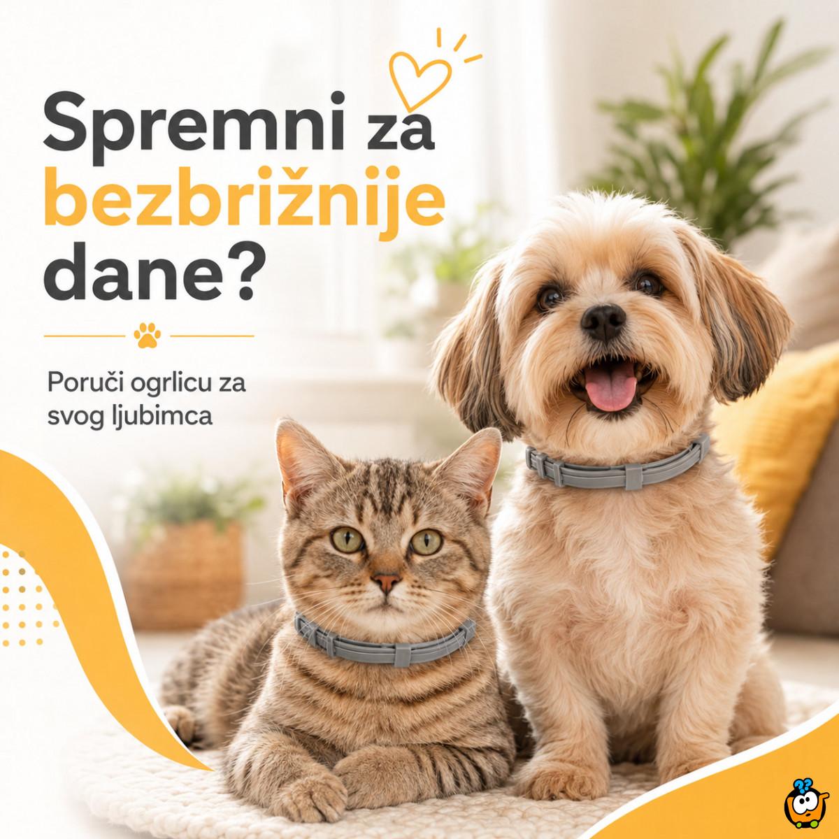 Vodootporna ogrlica protiv buva za mačke i male pse do 37 cm
