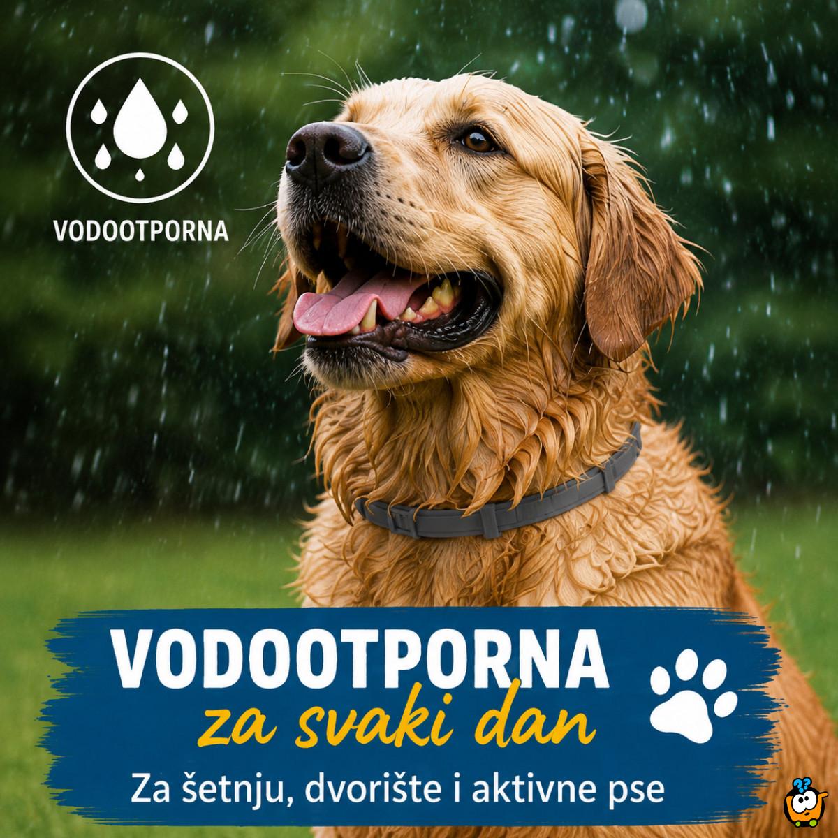 Vodootporna podesiva ogrlica protiv buva za veće pse do 62 cm