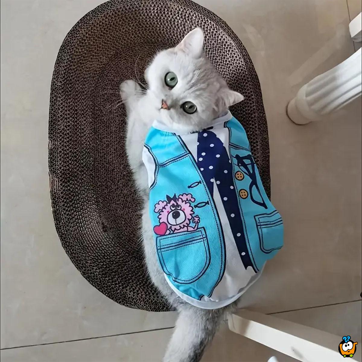 Blue Suit - Odelce sa kravatom  za pse i mačke