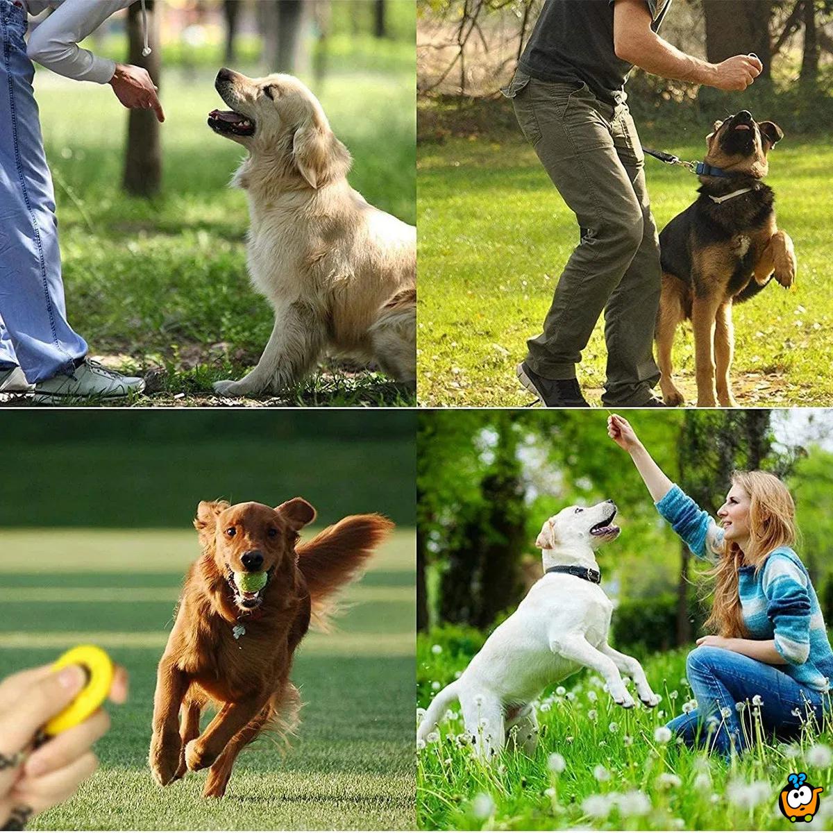 Dog Training Clicker - Narukvica sa priveskom za dresuru psa