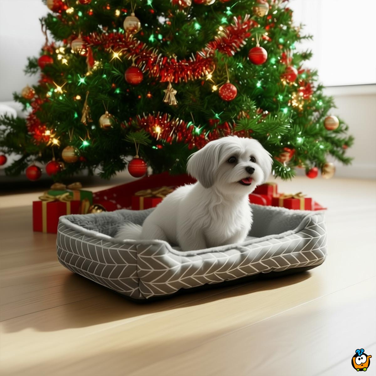 Teddy bed - mekani krevetić za pse i mace