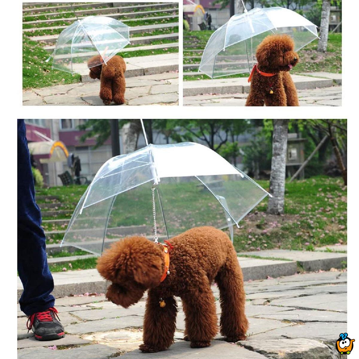 Pet umbrella - Kišobran za kućne ljubimce sa ugrađenim povodcem