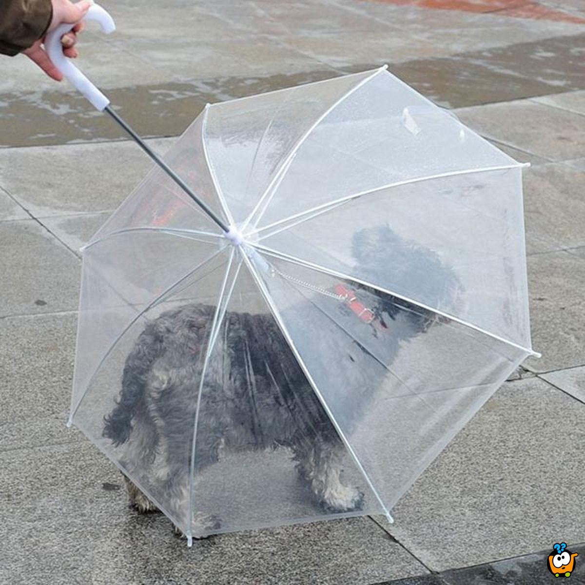 Pet umbrella - Kišobran za kućne ljubimce sa ugrađenim povodcem