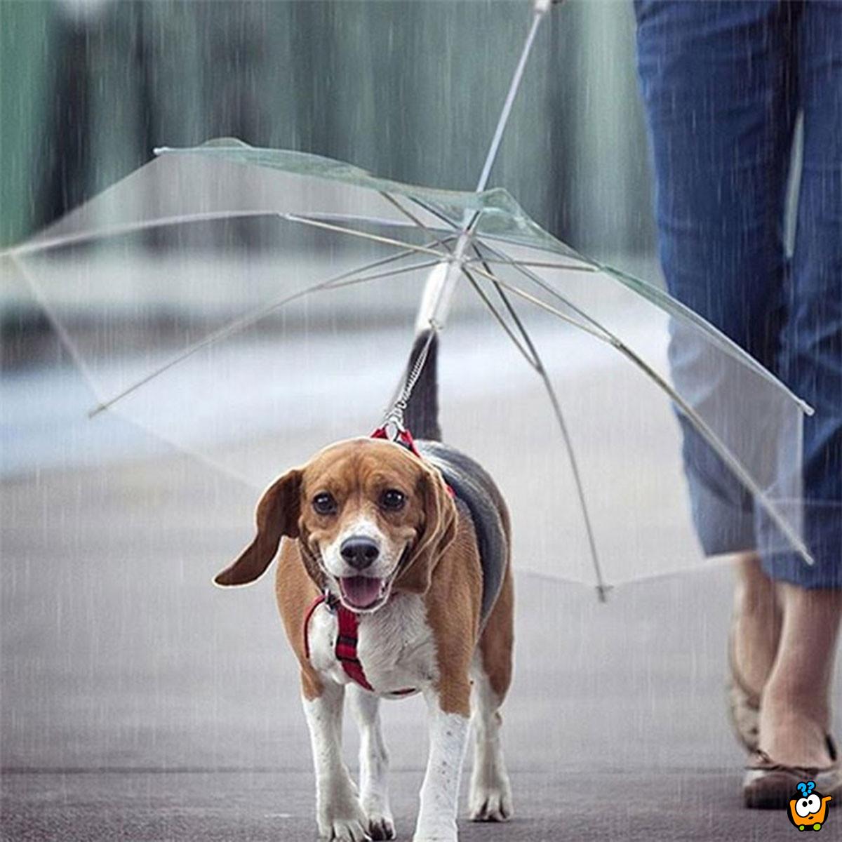 Pet umbrella - Kišobran za kućne ljubimce sa ugrađenim povodcem