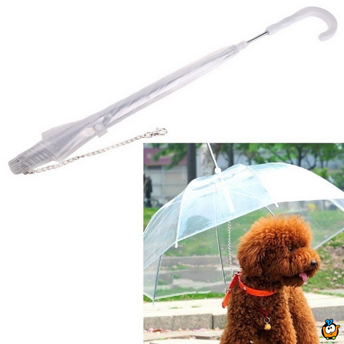 Pet umbrella - Kišobran za kućne ljubimce sa ugrađenim povodcem