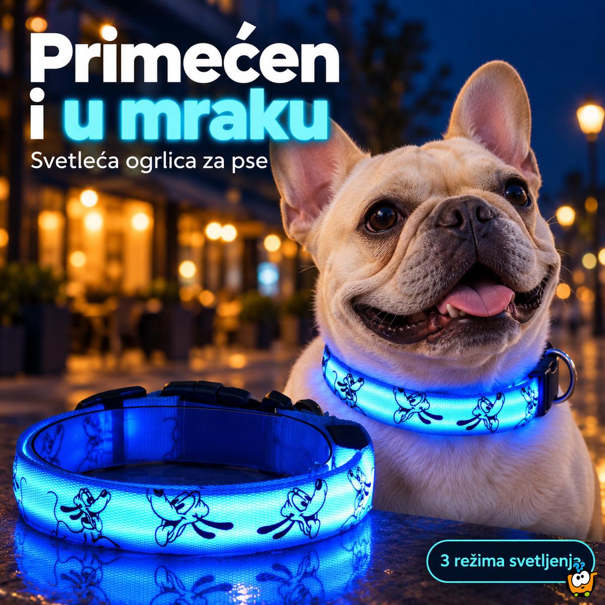 Dog Night out - Svetleća ogrlica za pse