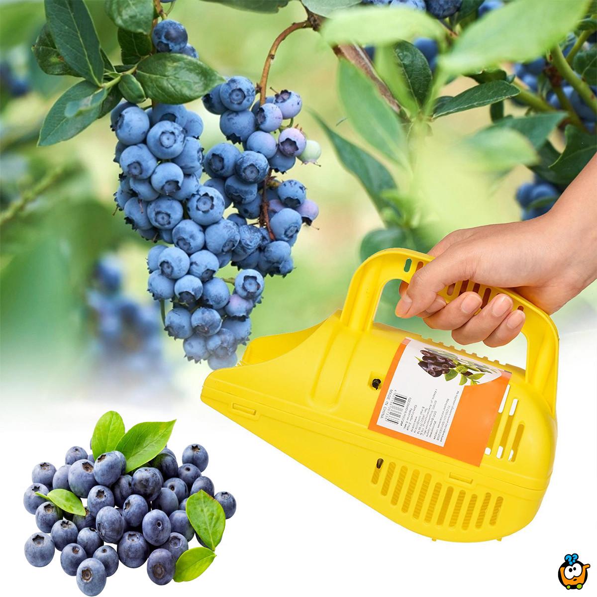 Berač borovnica - Praktično pomagalo za branje bobičastog voća