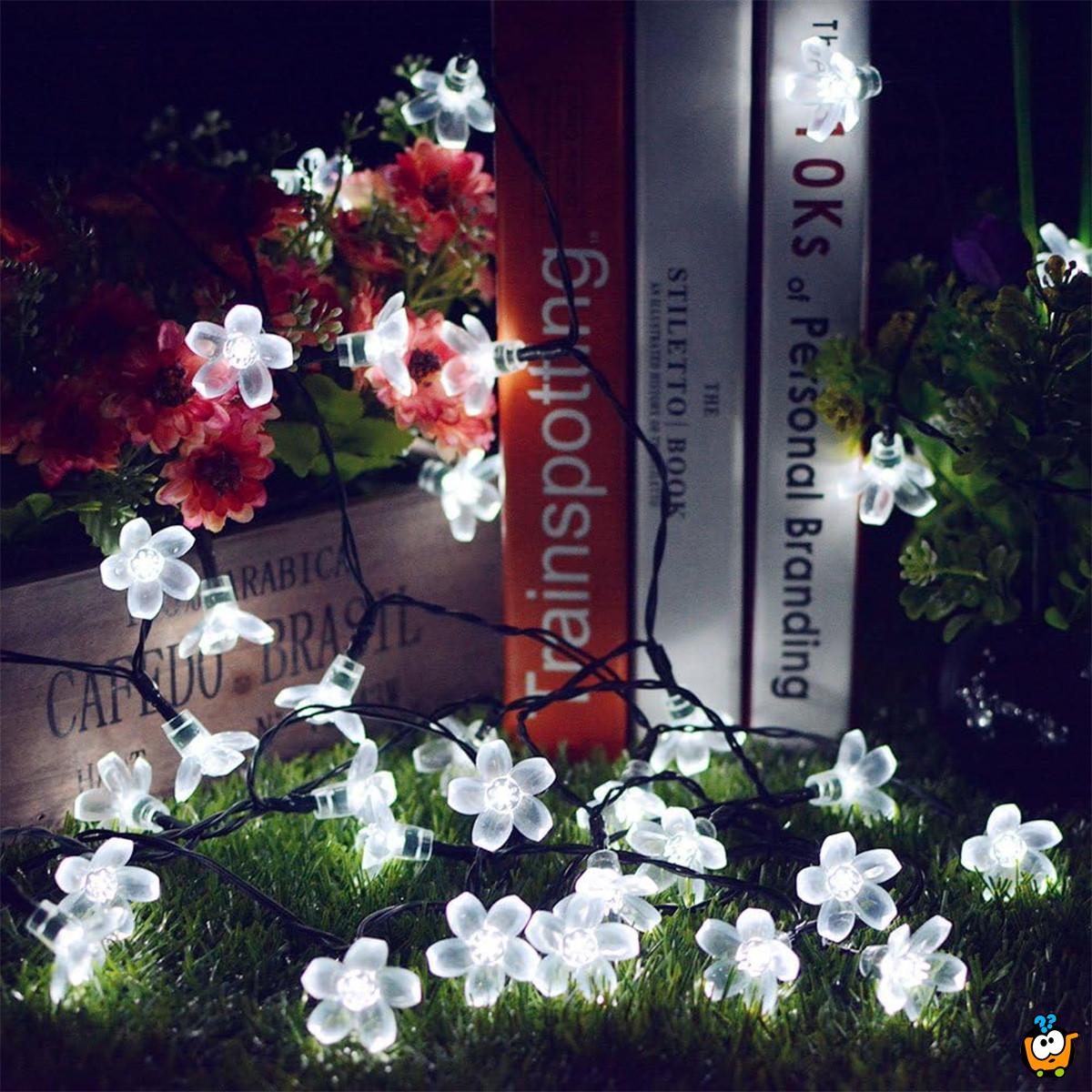 Floral solar lights – Prolećne cvetne LED lampice 6,5m