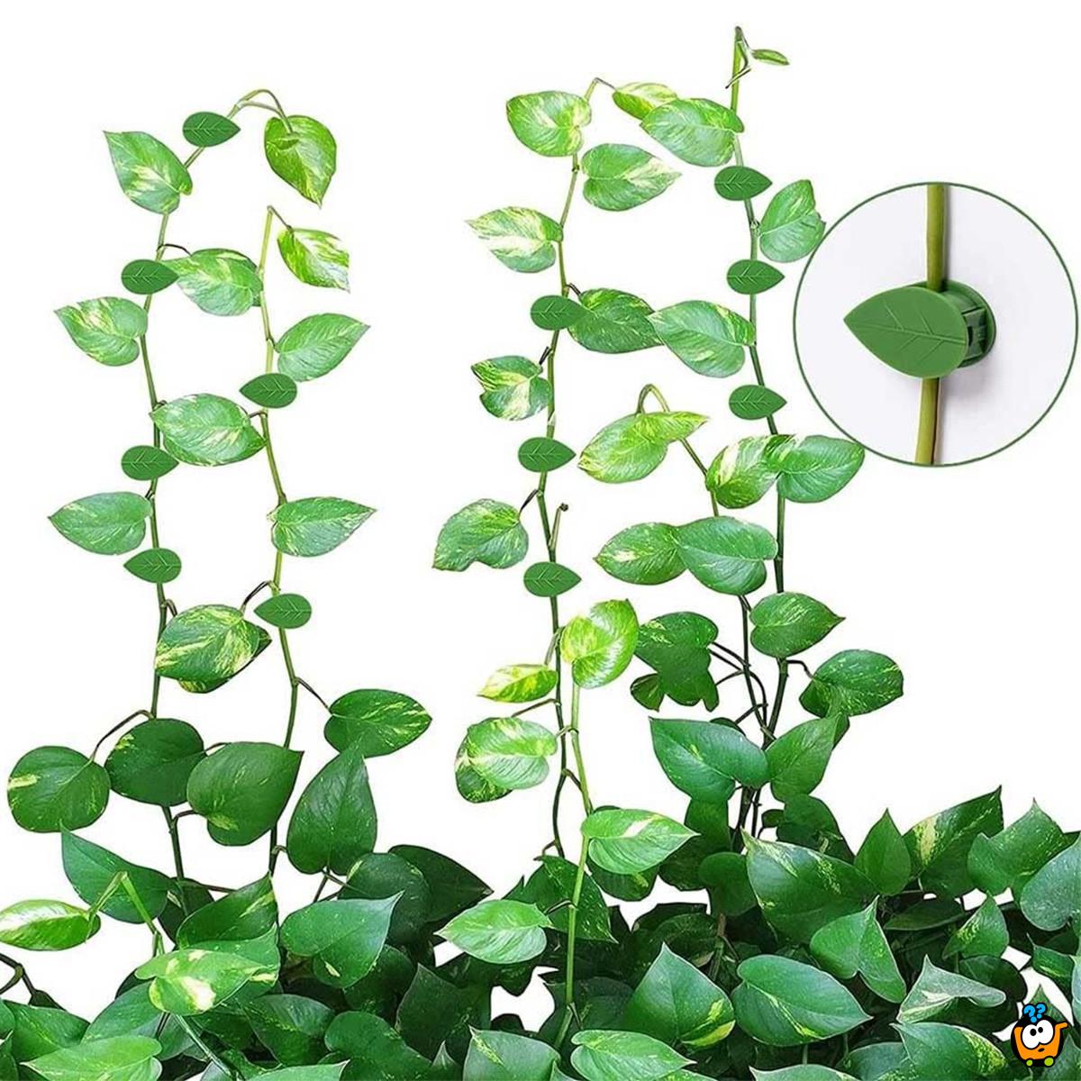 Plant clips - listići držači za biljke
