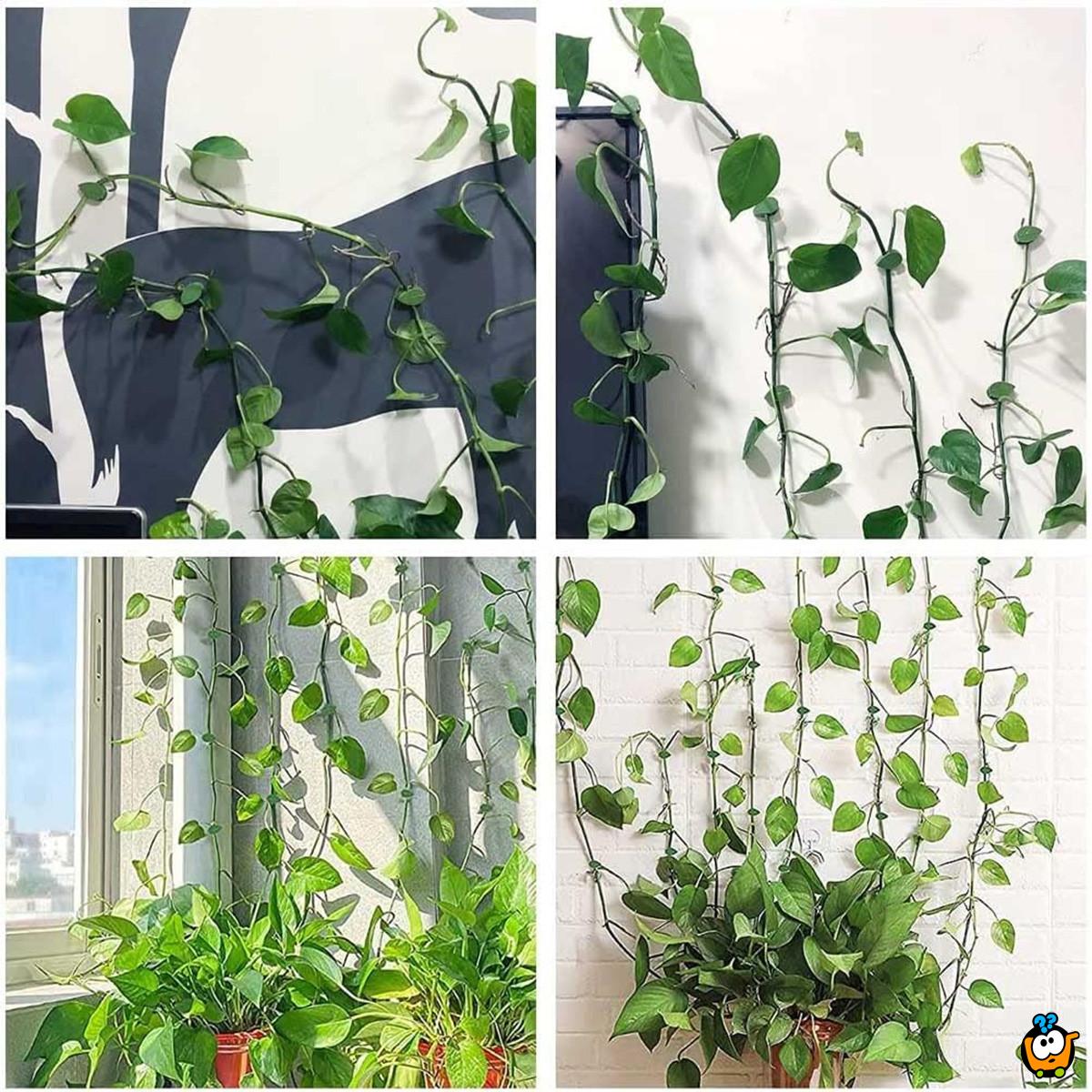 Plant clips - listići držači za biljke