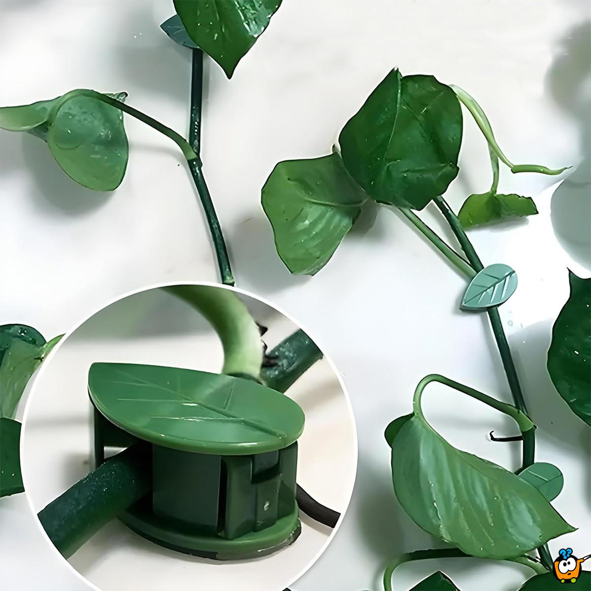 Plant clips - listići držači za biljke