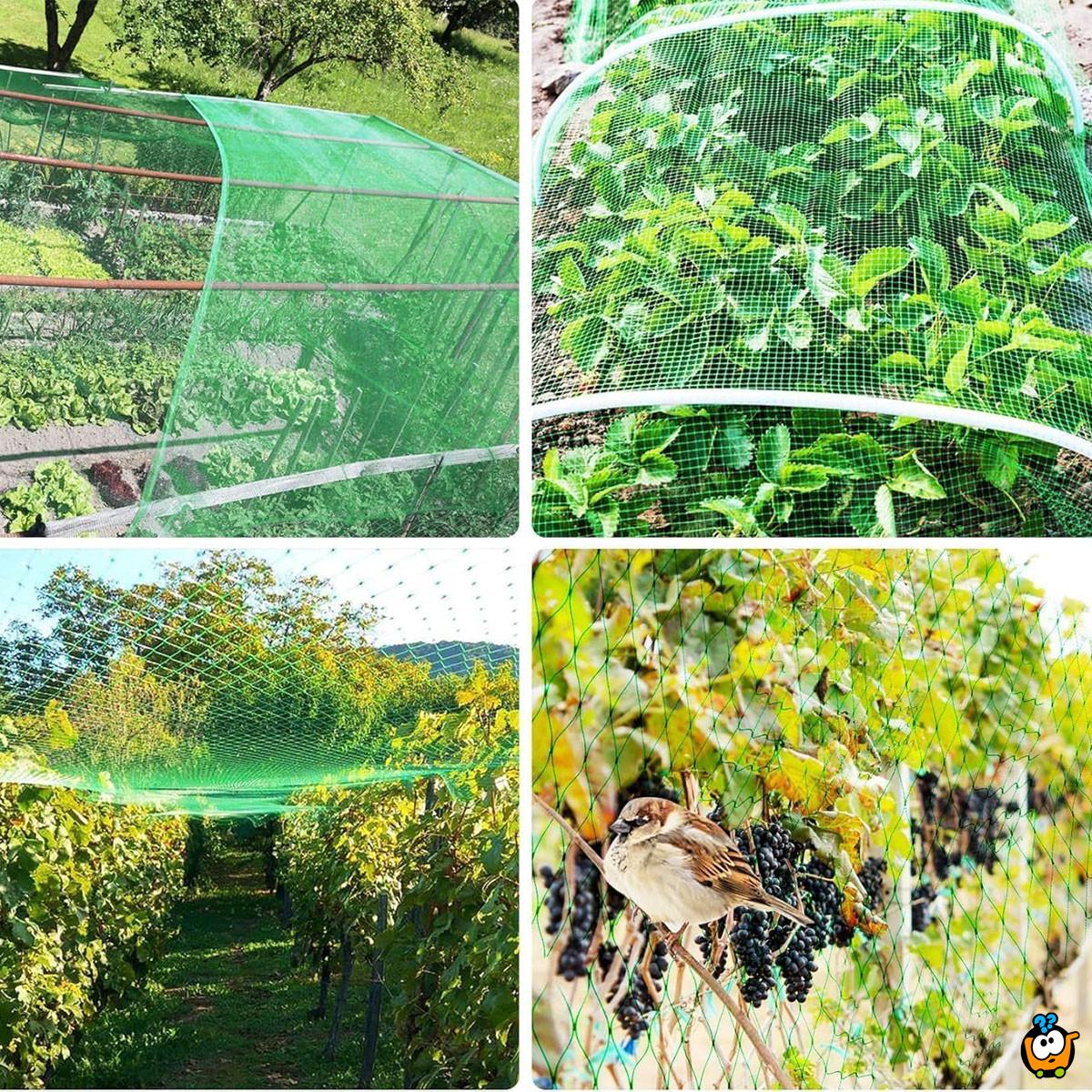 Baštenska zaštitna mreža za biljke i voće -  4x10m