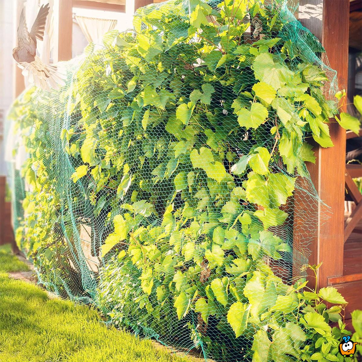 Baštenska zaštitna mreža za biljke i voće -  4x10m