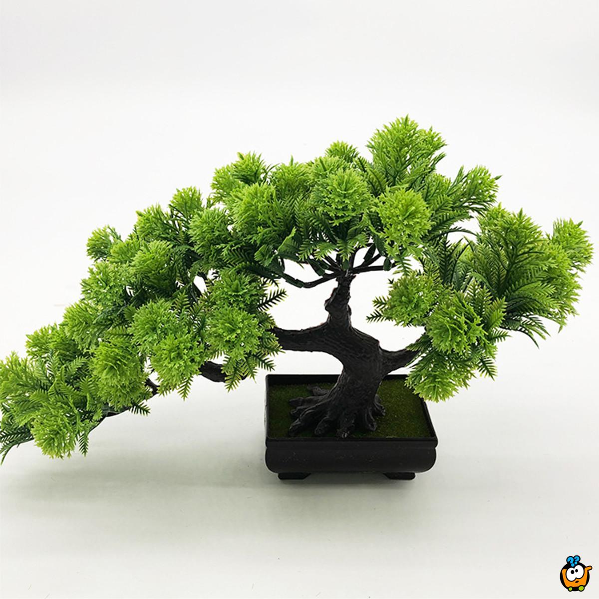 Bonsai plant - veštačka dekorativna biljka