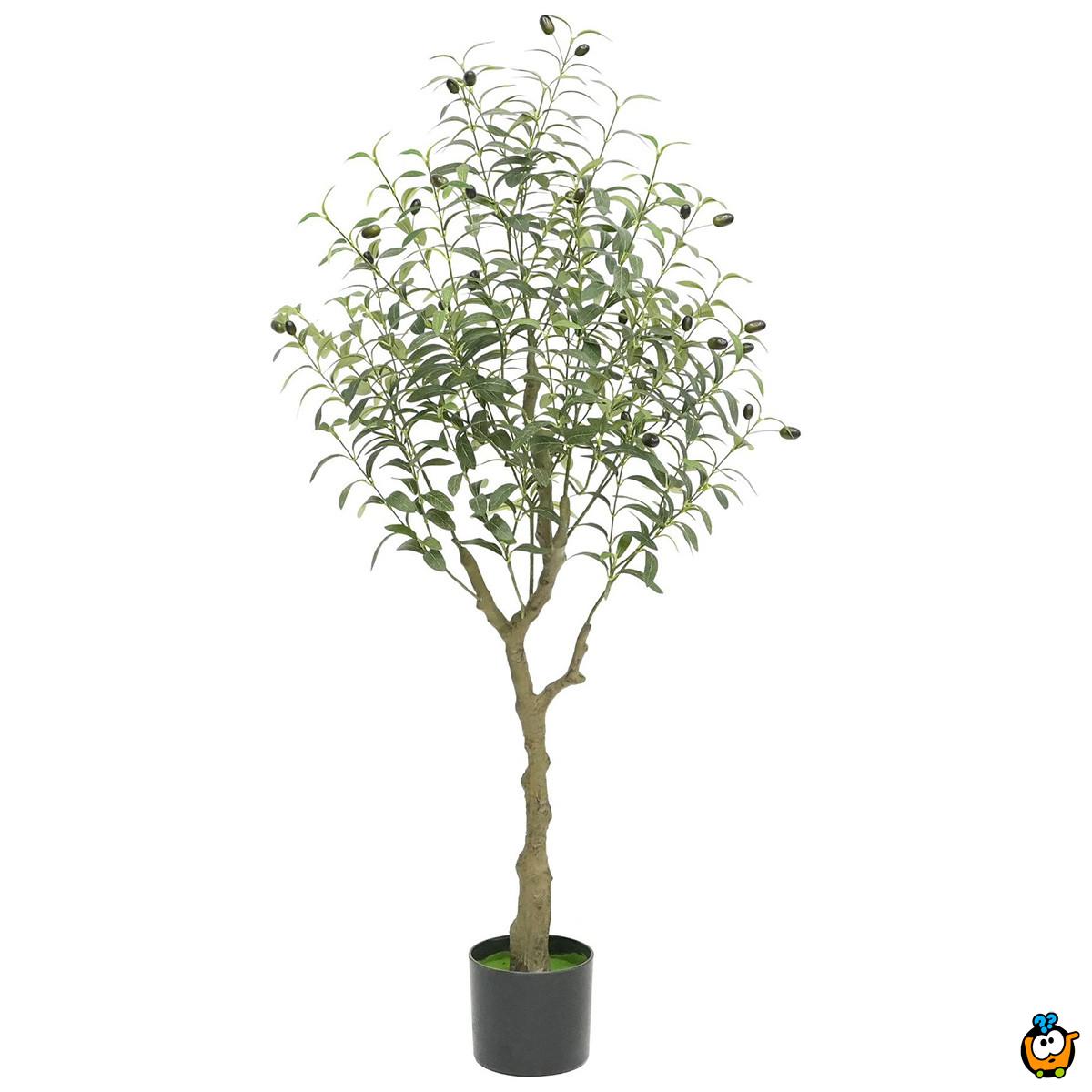 Oliva Mediterraneo - veštačko drvo masline 120cm