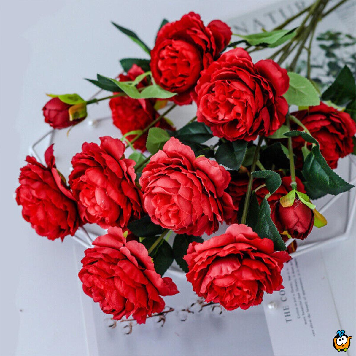 Rose branch - Grančica ruže sa tri cveta