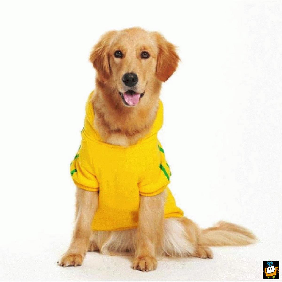 Adidog - udobni duks za kućnog ljubimca u žutoj boji