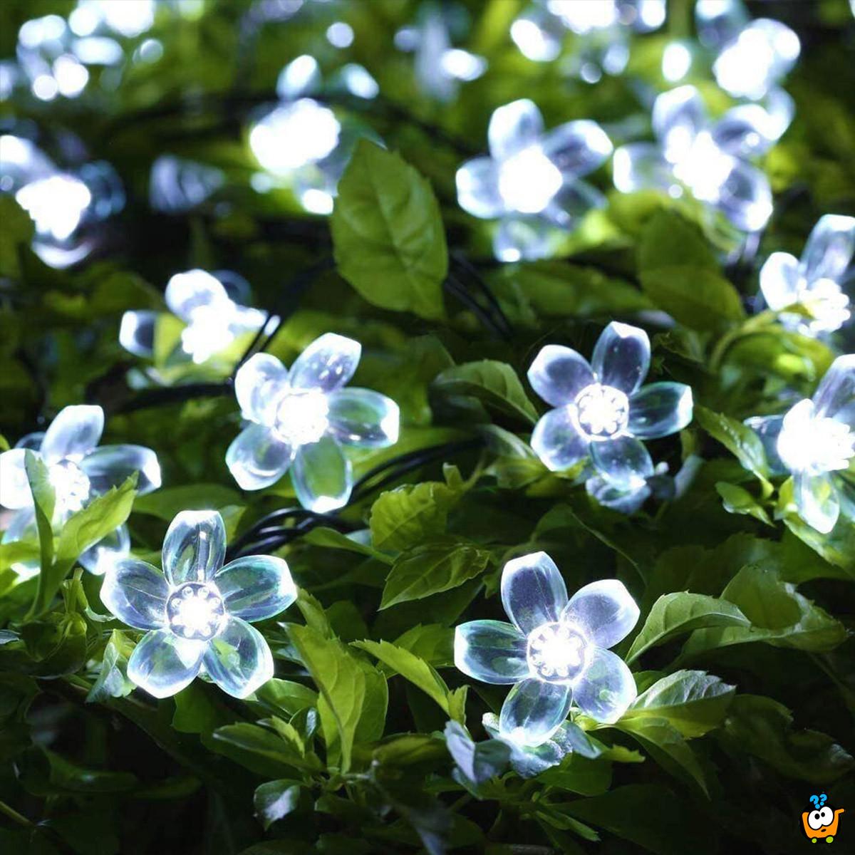 Floral solar lights – Prolećne cvetne LED lampice 6,5m