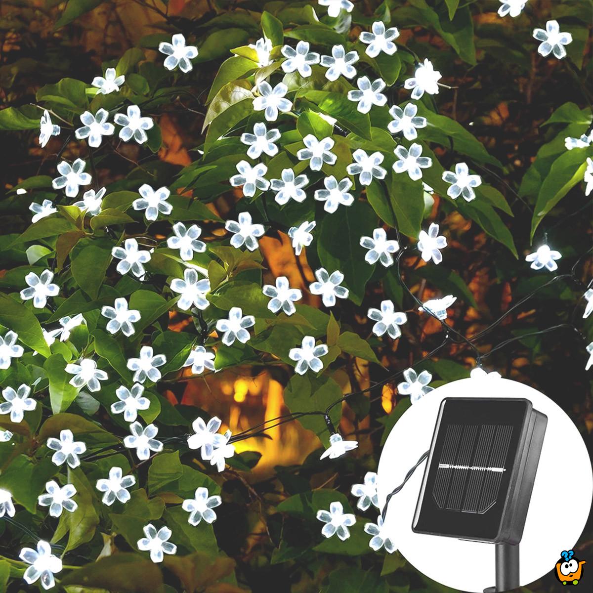 Floral solar lights – Prolećne cvetne LED lampice 6,5m