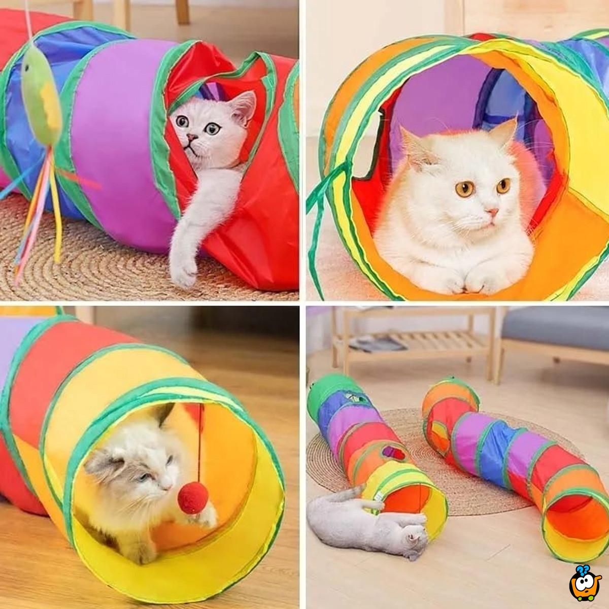 Rainbow tunnel - Zabavna igračka za kućne ljubimce