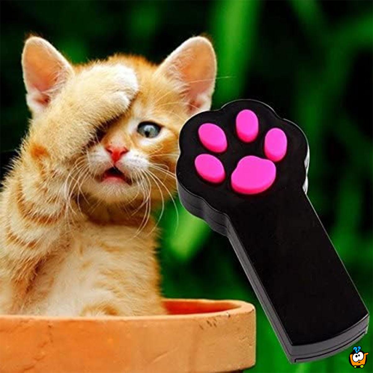 Kitten Laser - Interaktivni laser u obliku šape