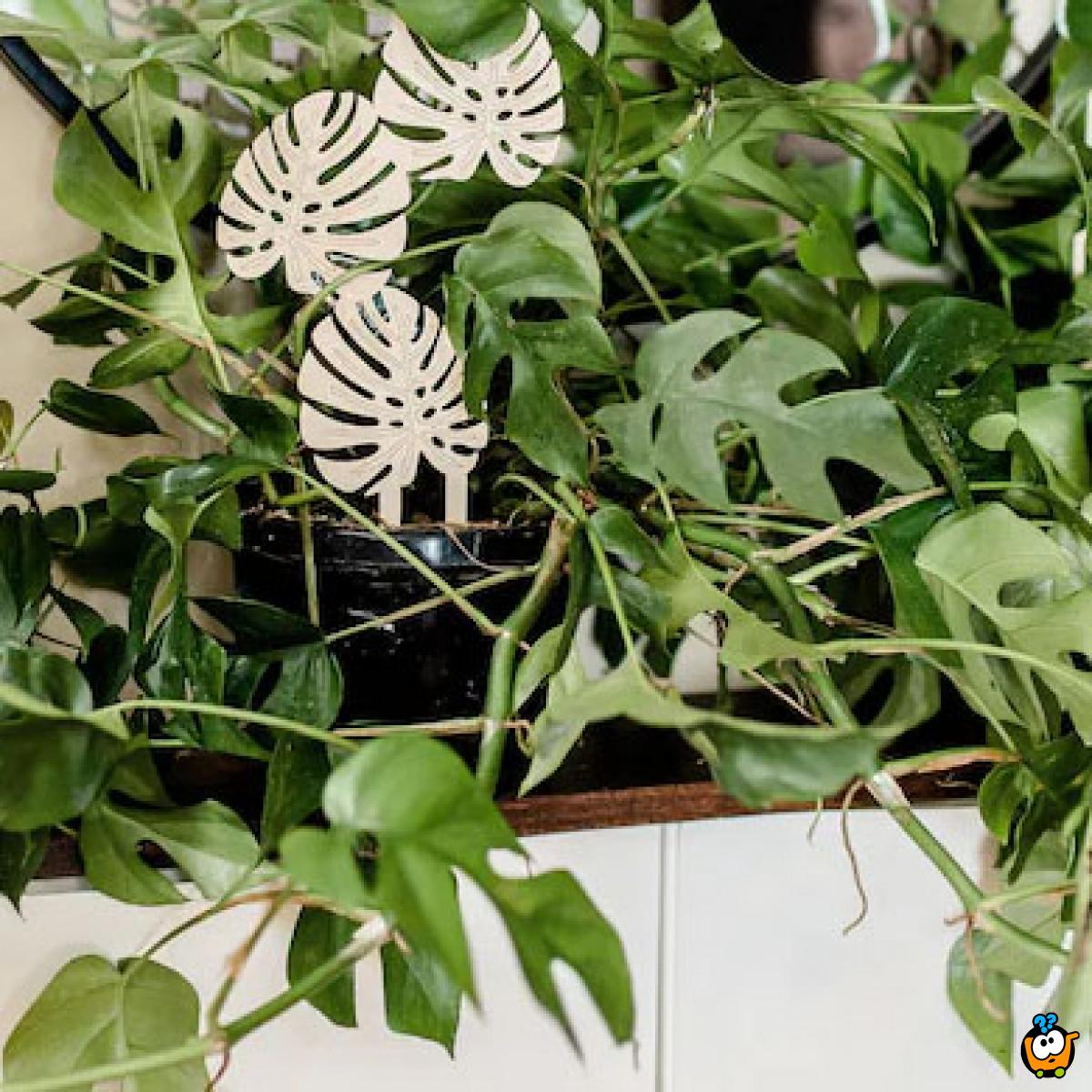 Kreativna penjačica - Fiksni stalak za cveće THREE LEAVES