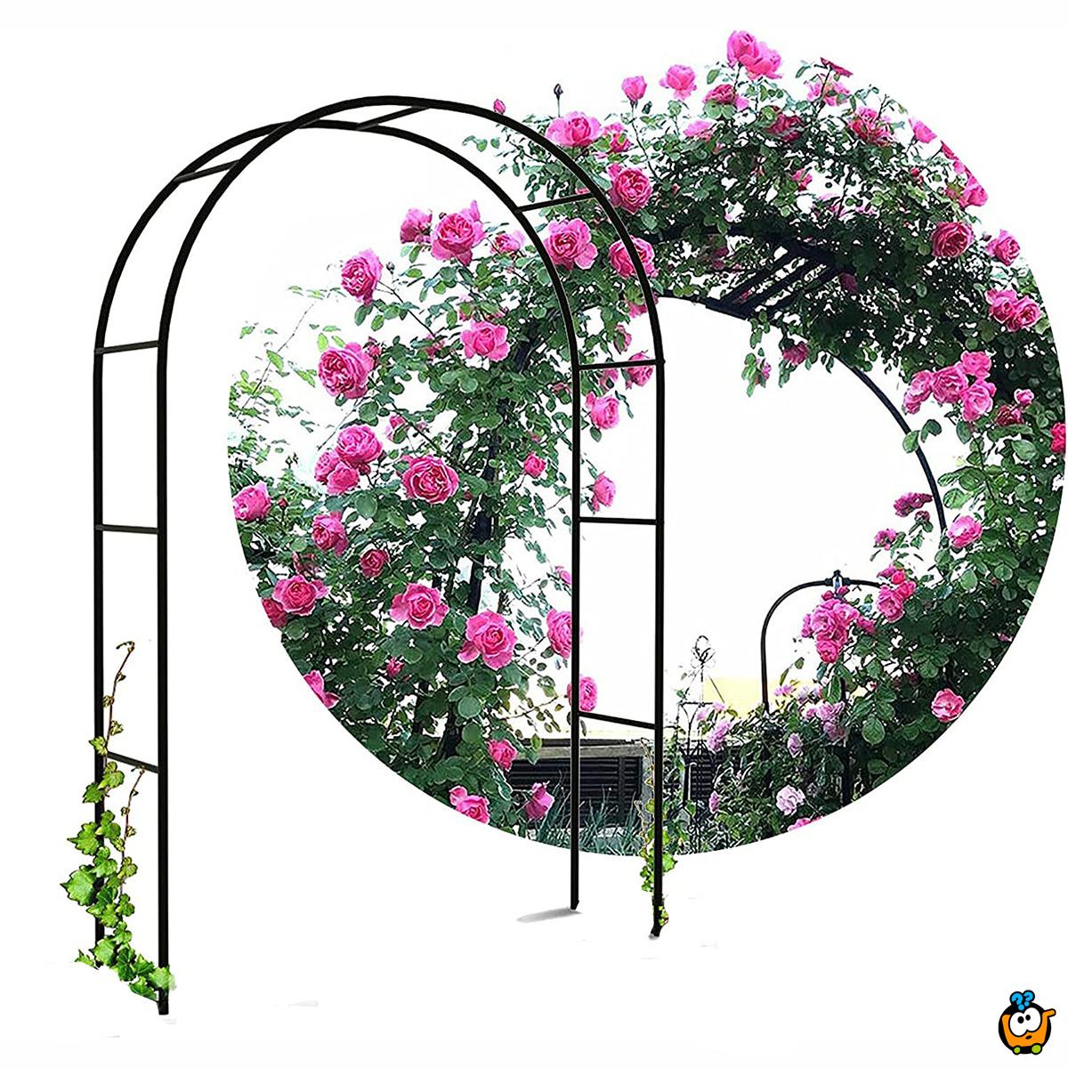 Pergola BLACK - Baštenski luk za ruže i puzavice