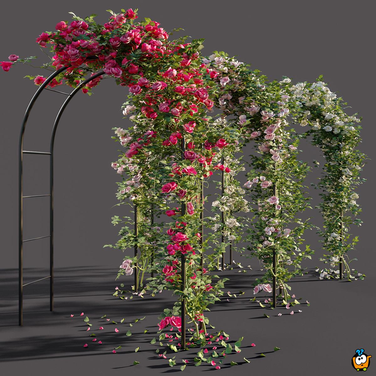Pergola BLACK - Baštenski luk za ruže i puzavice