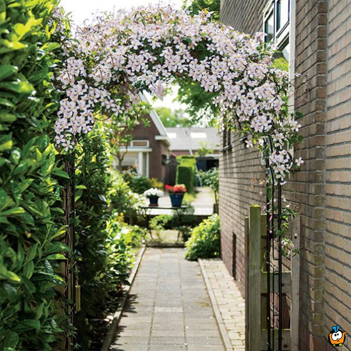 Pergola BLACK - Baštenski luk za ruže i puzavice