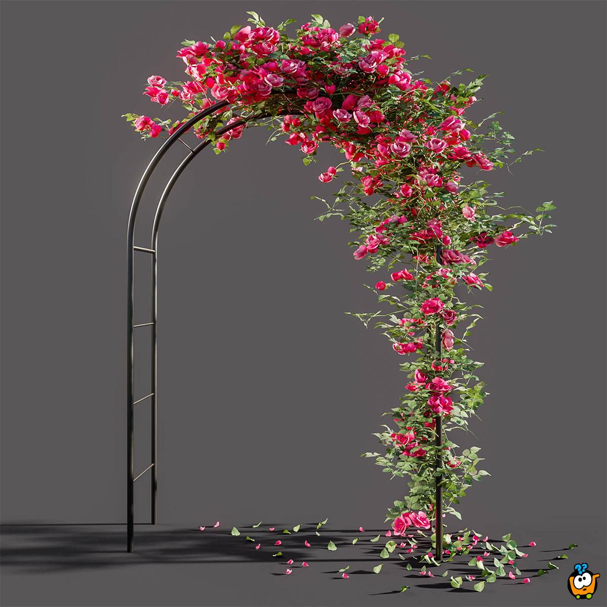 Pergola BLACK - Baštenski luk za ruže i puzavice