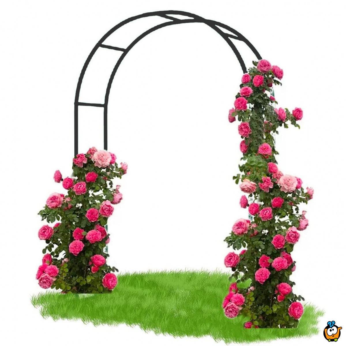 Pergola BLACK - Baštenski luk za ruže i puzavice