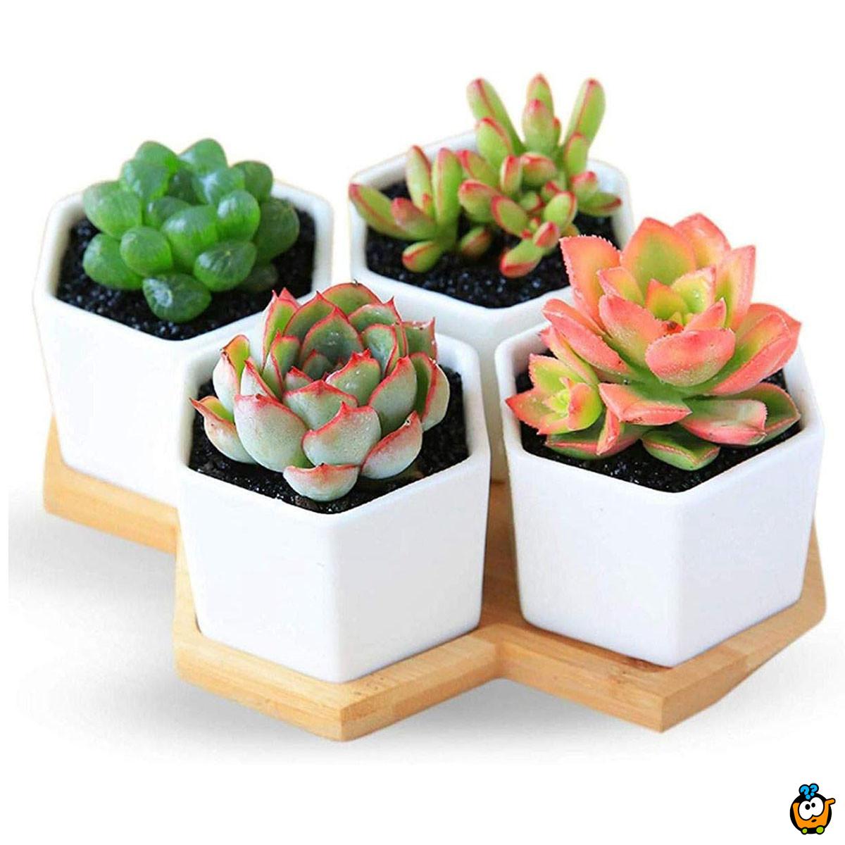 Mini flower pot - Mini dekorativne saksije 