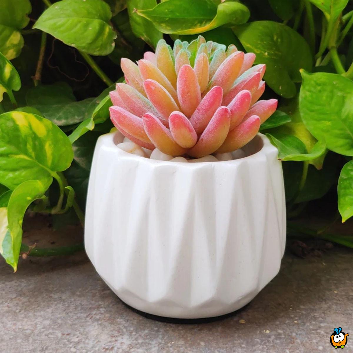 Mini flower pot - Mini dekorativne saksije 