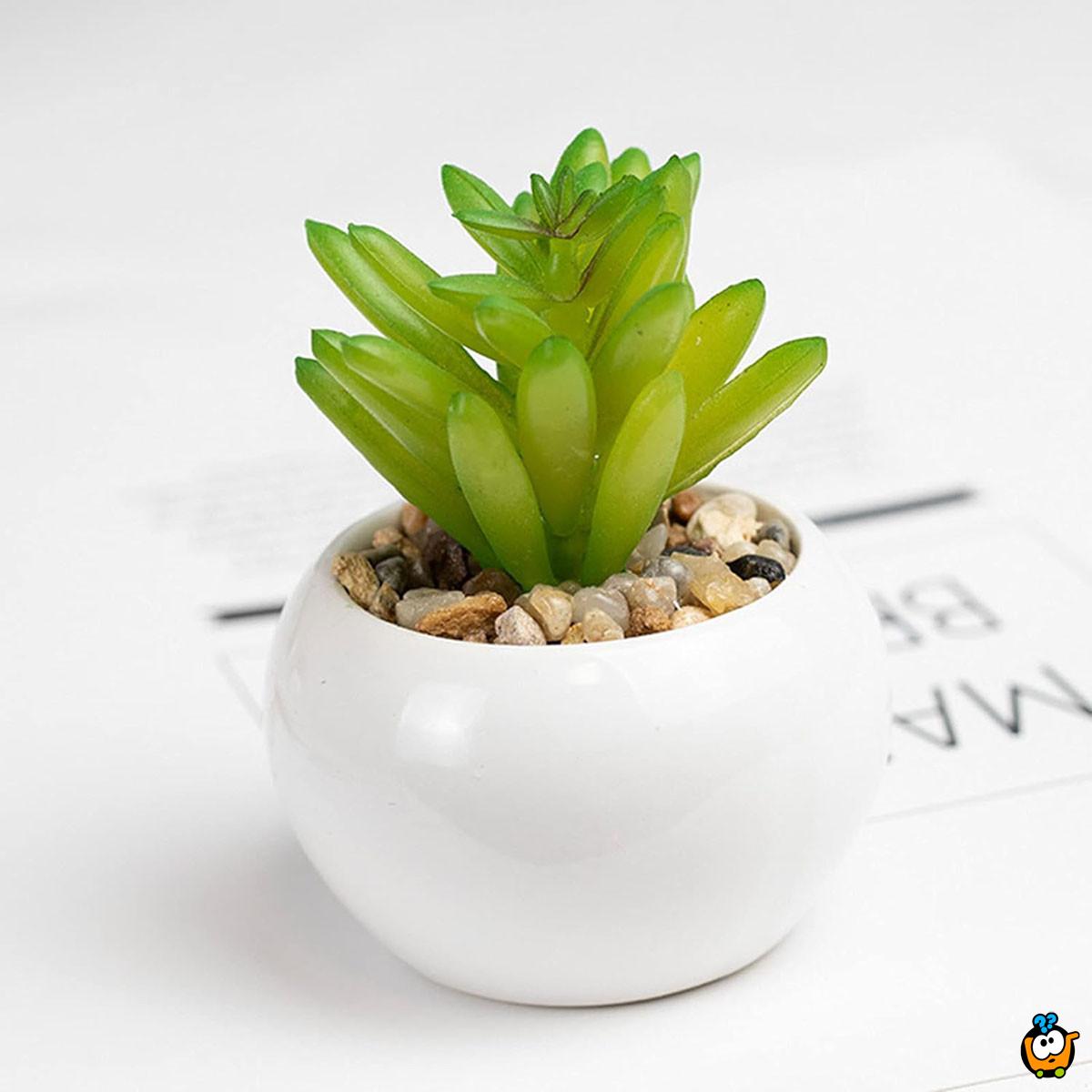 Mini flower pot - Mini dekorativne saksije 