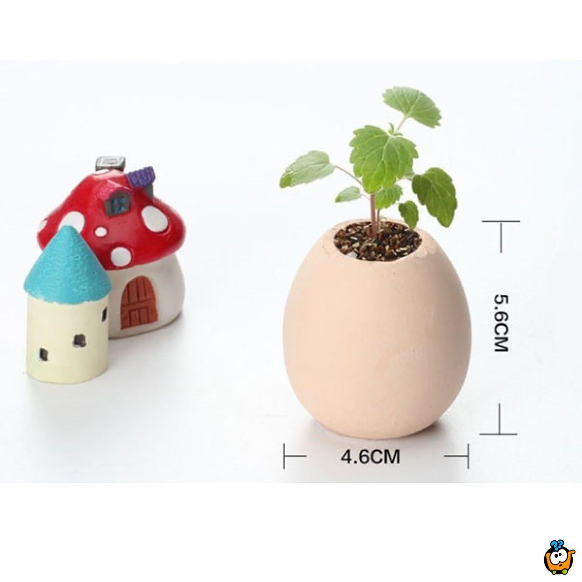Lucky Egg - Prava biljka iz jajeta