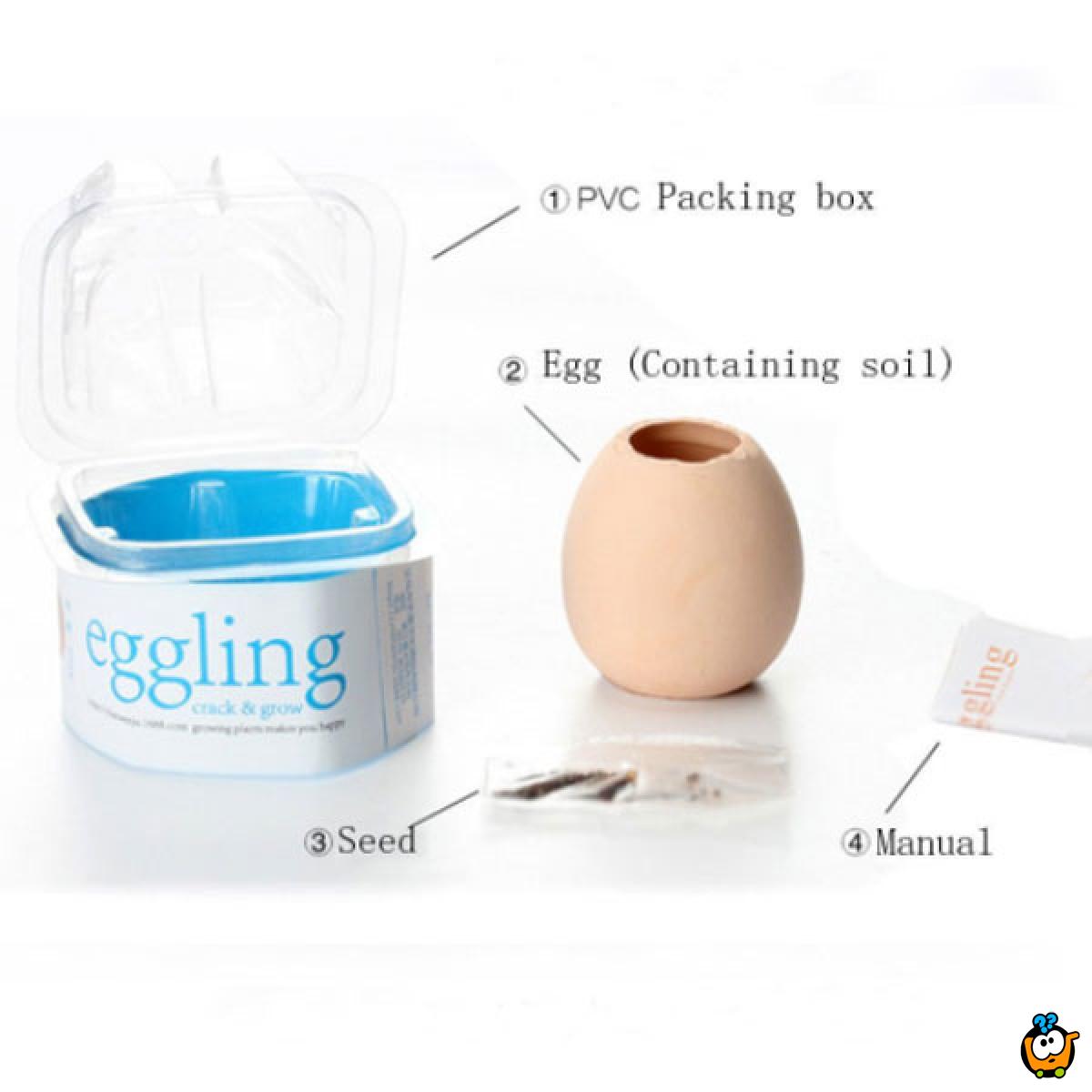 Lucky Egg - Prava biljka iz jajeta