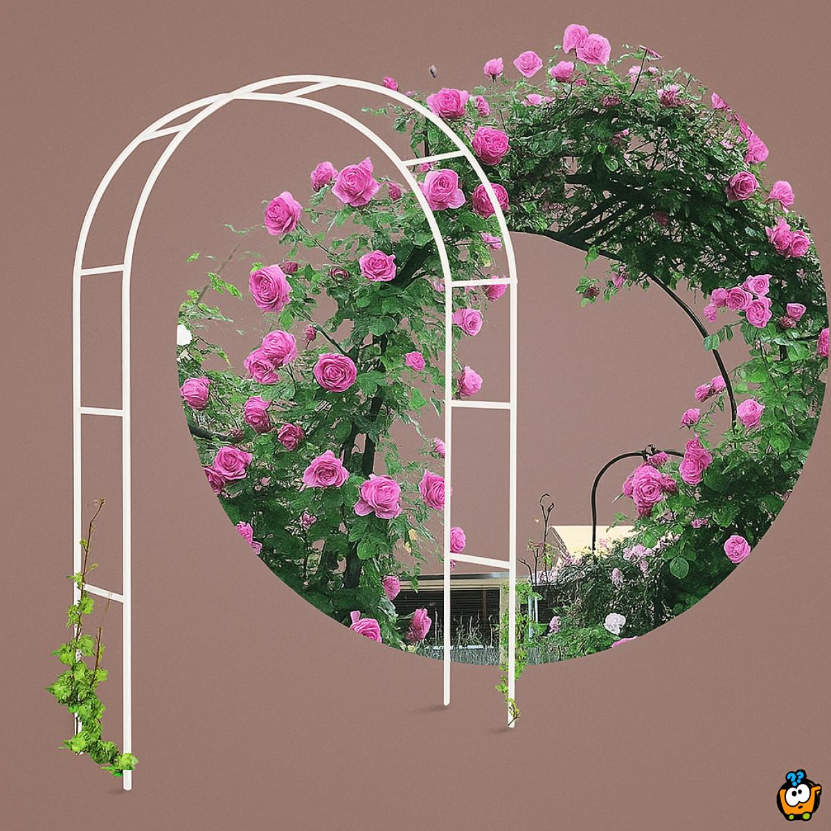 Pergola WHITE - Baštenski luk za ruže i puzavice