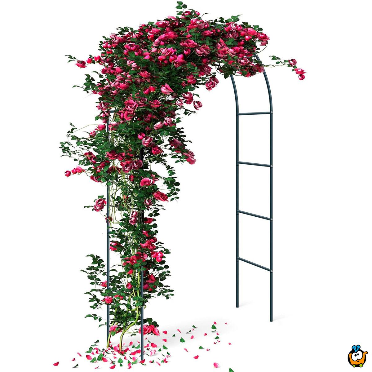 Pergola BLACK - Baštenski luk za ruže i puzavice